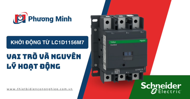 KHỞI ĐỘNG TỪ LC1D1156M7 : VAI TRÒ VÀ NGUYÊN LÝ HOẠT ĐỘNG